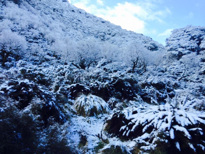 Routeburn Track snow