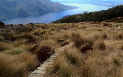 How to prepare for the Kepler Track