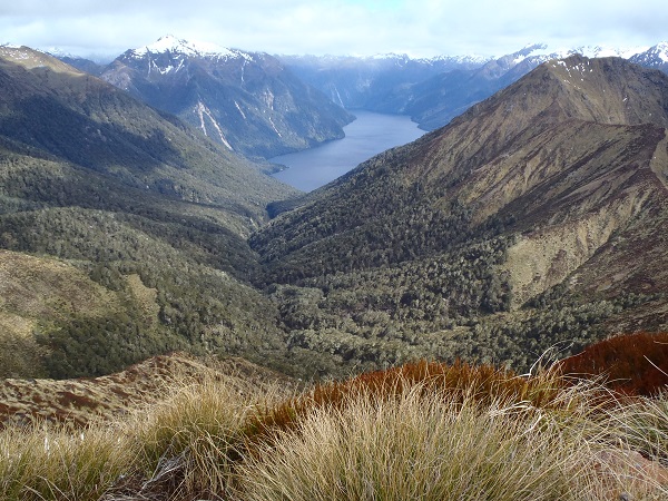 Great Walks of New Zealand