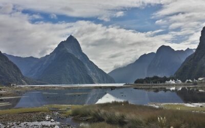 Where is Milford Sound?