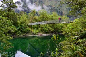 Great Walks - Milford Track