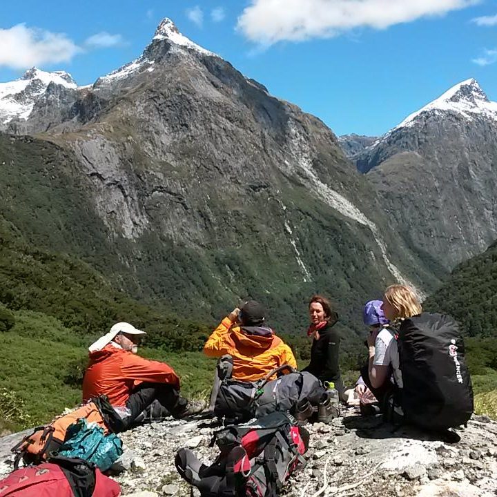 Milford Track @ fiddlyfee