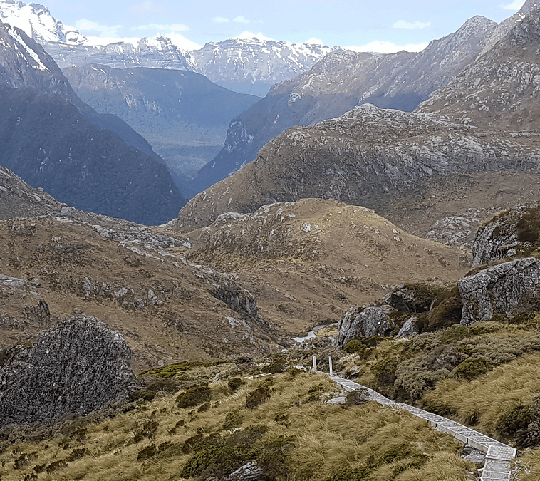 THE LATEST ON FIORDLAND’S GREAT WALKS